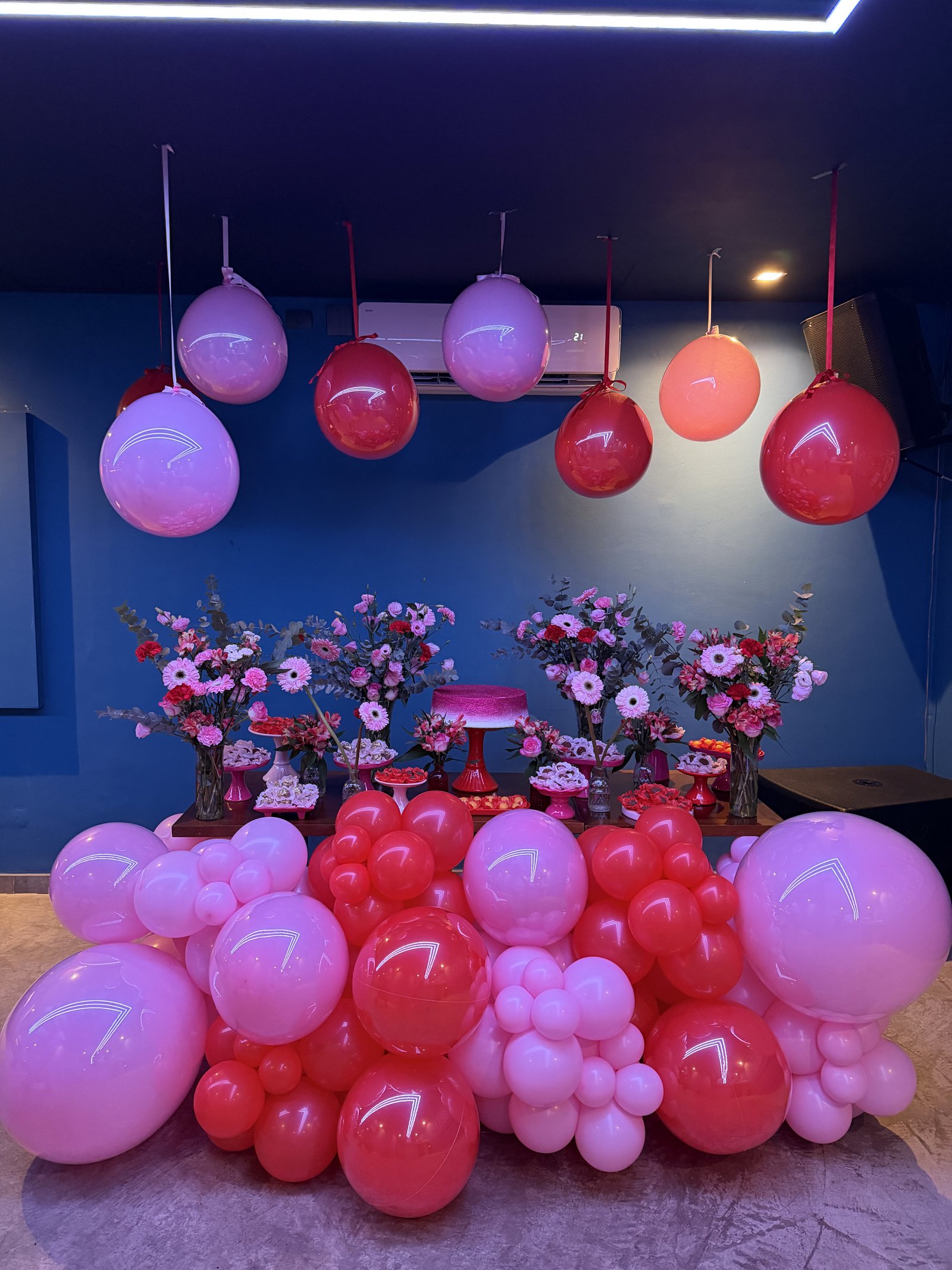 Aniversário Infantil