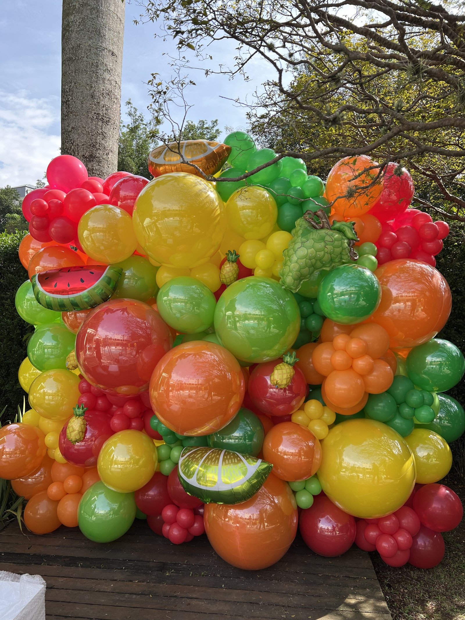 Arco Orgânico Bicolor com Transição Perfeita